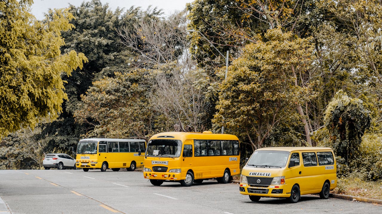 Yellow school buses parked outdoors in Panama City, surrounded by greenery.